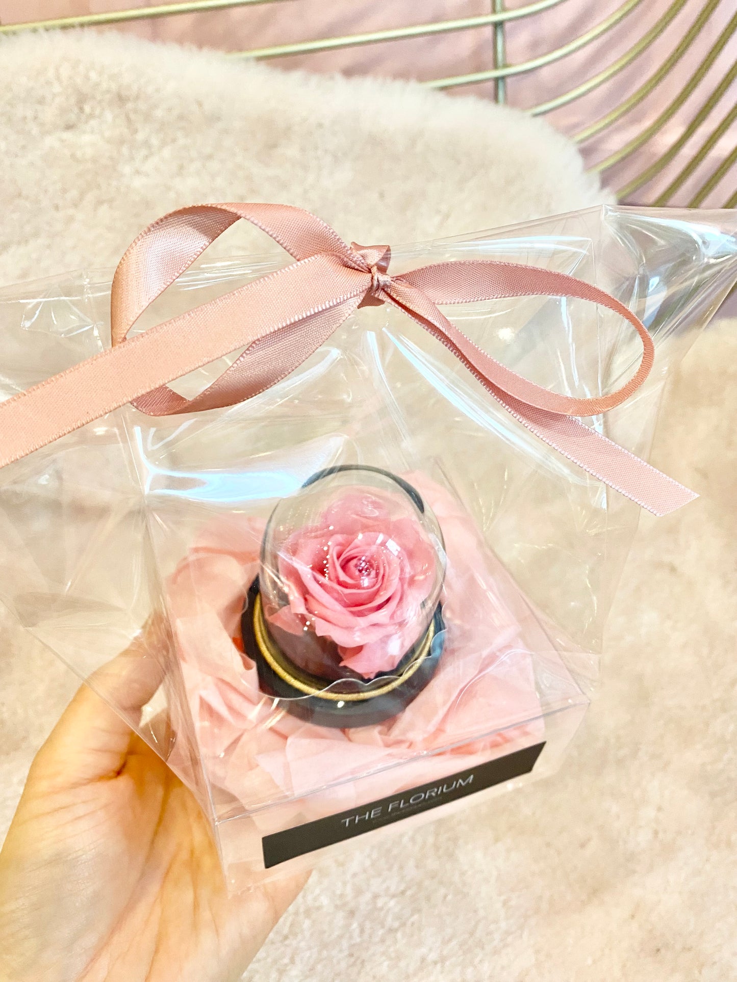 Mini preserved Rose dome - Barbie Pink 🎀