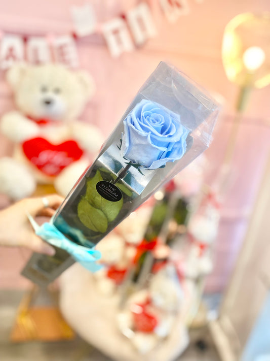 Preserved Rose on Stem_Baby Blue 🩵