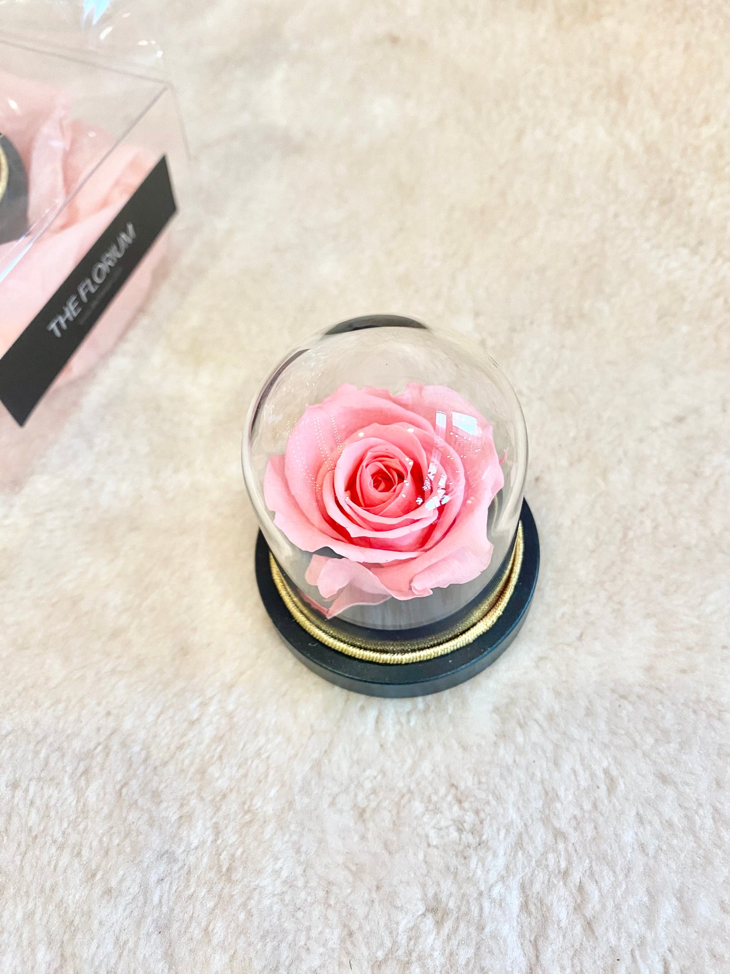 Mini preserved Rose dome - Barbie Pink 🎀